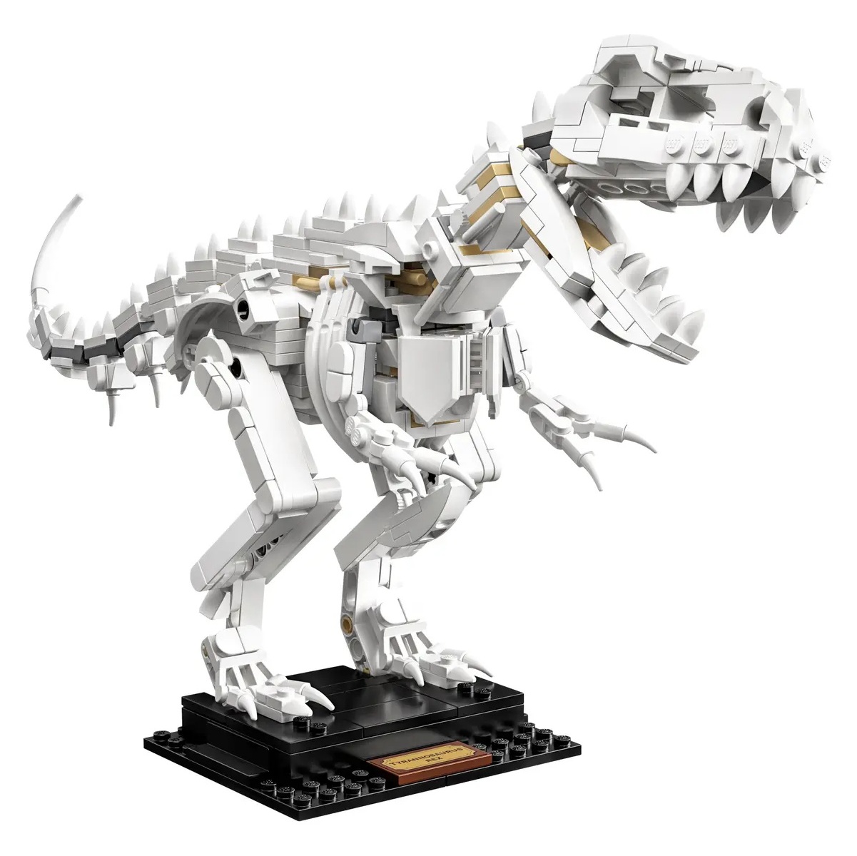 LEGO 21320 - Fossili di Dinosauri - immagine 4