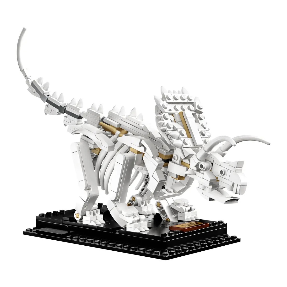 LEGO 21320 - Fossili di Dinosauri - immagine 6