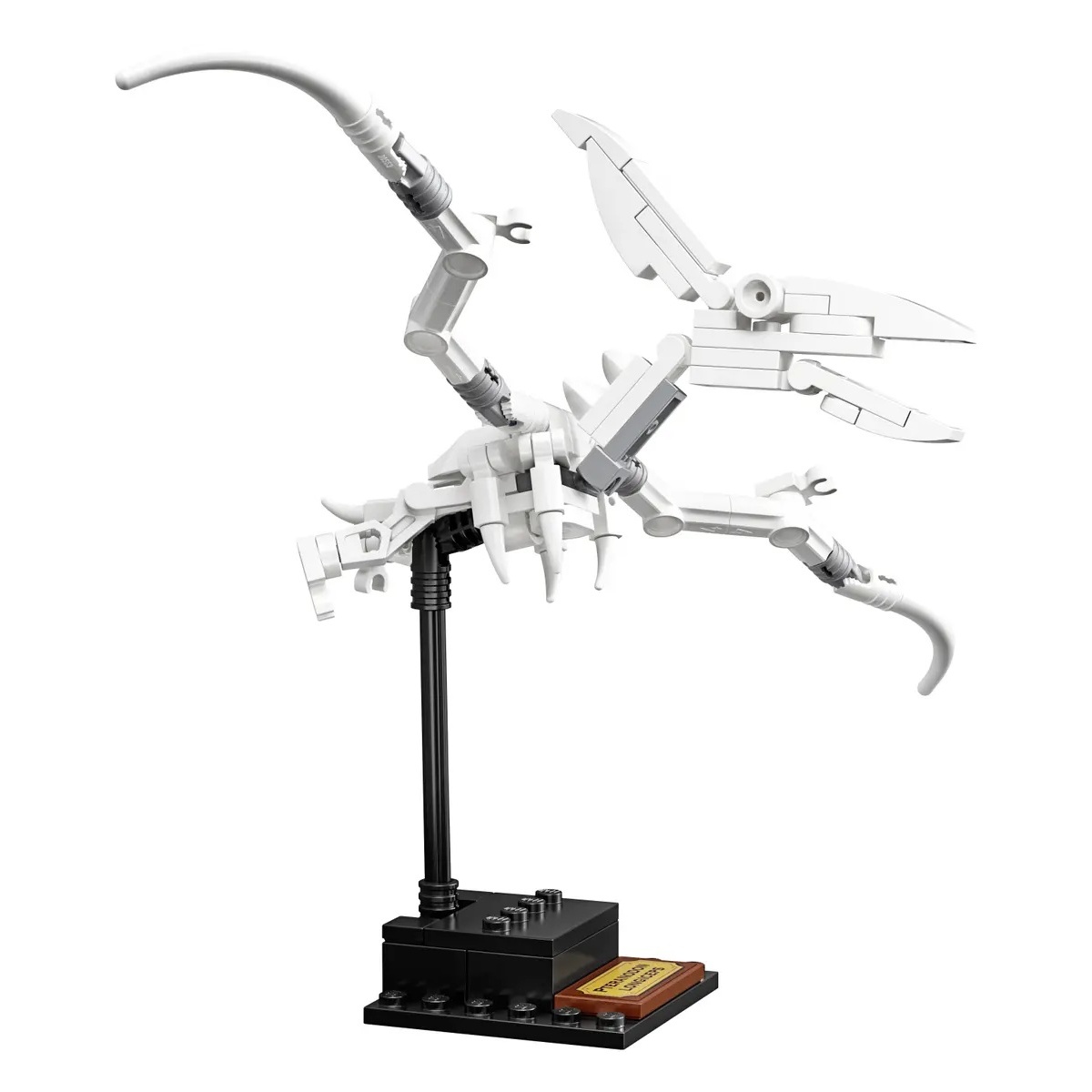 LEGO 21320 - Fossili di Dinosauri - immagine 7