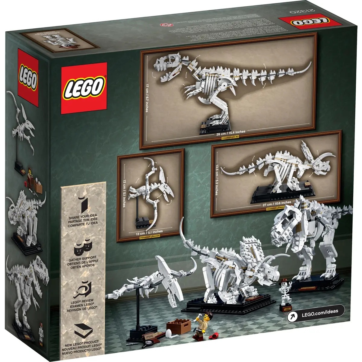 LEGO 21320 - Fossili di Dinosauri - immagine 10