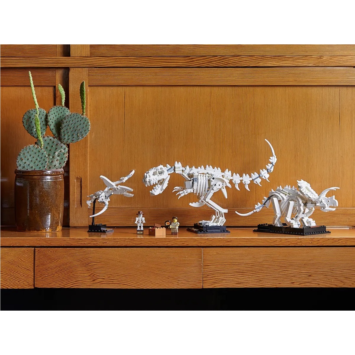 LEGO 21320 - Fossili di Dinosauri - immagine 9