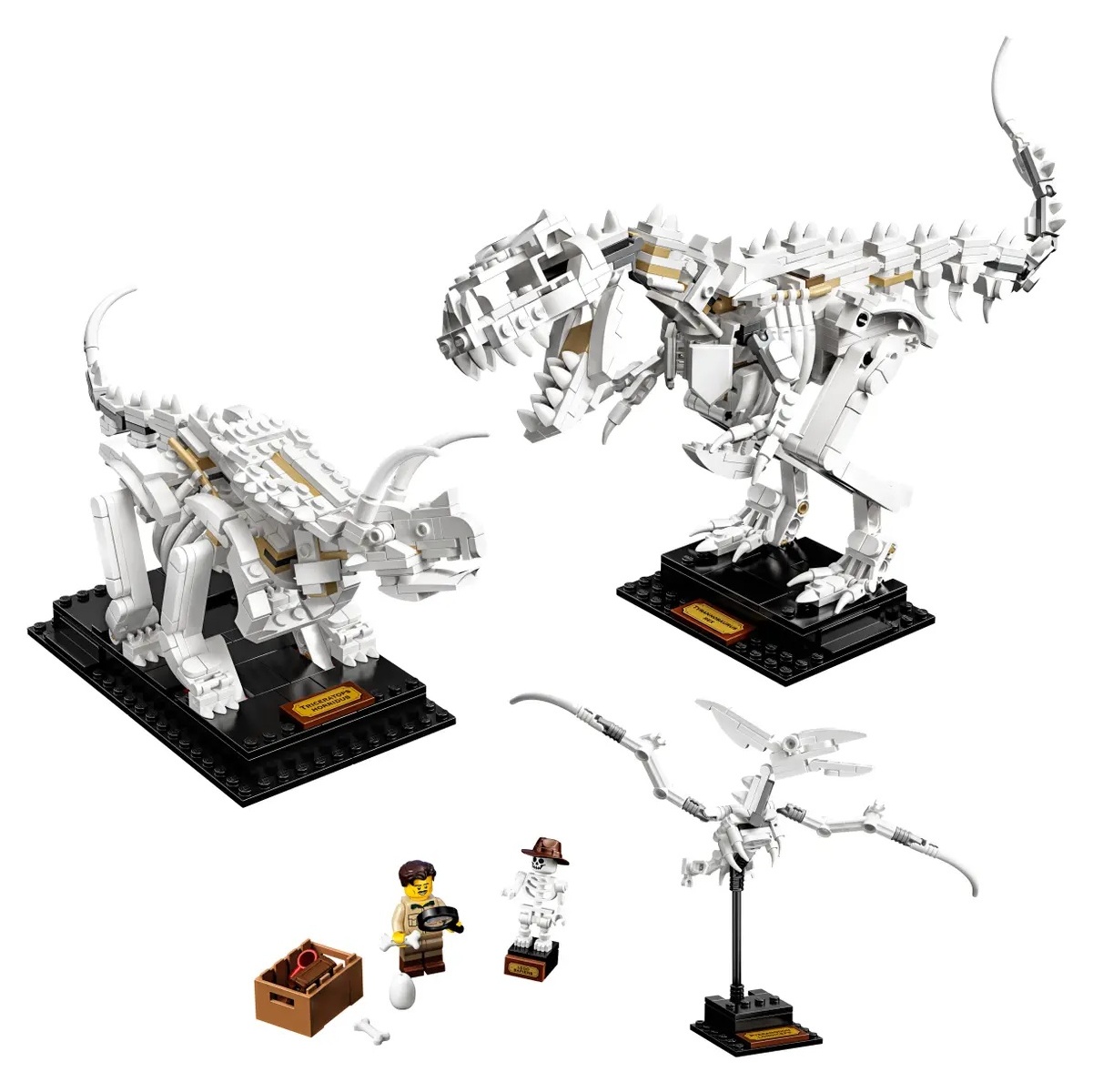 LEGO 21320 - Fossili di Dinosauri - immagine 2